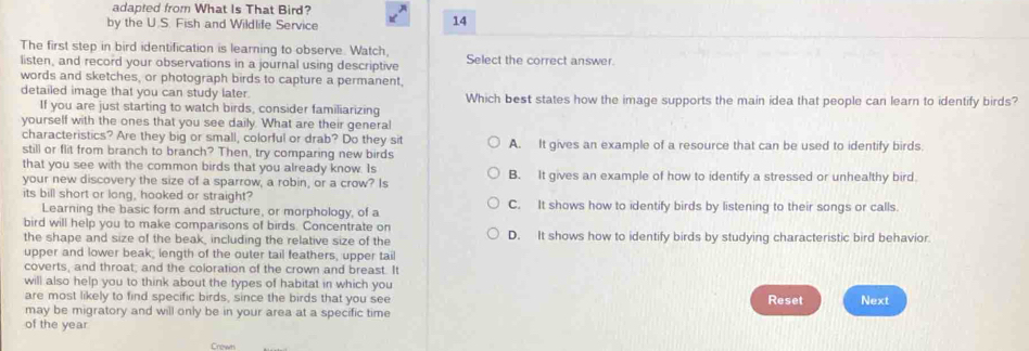 adapted from What Is That Bird?
by the U.S. Fish and Wildlife Service
14
The first step in bird identification is learning to observe. Watch
listen, and record your observations in a journal using descriptive Select the correct answer.
words and sketches, or photograph birds to capture a permanent.
detailed image that you can study later. Which best states how the image supports the main idea that people can learn to identify birds?
If you are just starting to watch birds, consider familiarizing
yourself with the ones that you see daily. What are their general
characteristics? Are they big or small, colorful or drab? Do they sit
still or flit from branch to branch? Then, try comparing new birds A. It gives an example of a resource that can be used to identify birds.
that you see with the common birds that you already know. Is
your new discovery the size of a sparrow, a robin, or a crow? Is B. It gives an example of how to identify a stressed or unhealthy bird.
its bill short or long, hooked or straight? C. It shows how to identify birds by listening to their songs or calls.
Learning the basic form and structure, or morphology, of a
bird will help you to make comparisons of birds. Concentrate on
the shape and size of the beak, including the relative size of the D. It shows how to identify birds by studying characteristic bird behavior.
upper and lower beak; length of the outer tail feathers, upper tail
coverts, and throat; and the coloration of the crown and breast. It
will also help you to think about the types of habitat in which you Next
are most likely to find specific birds, since the birds that you see Reset
may be migratory and will only be in your area at a specific time
of the year
