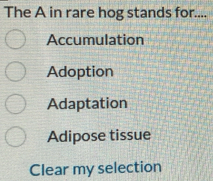 The A in rare hog stands for....
Accumulation
Adoption
Adaptation
Adipose tissue
Clear my selection