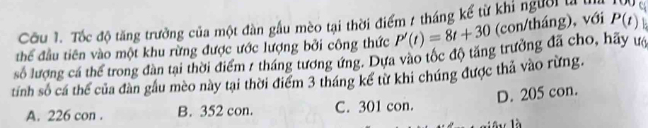 Cầu 1. Tốc độ tăng trưởng của một đàn gầu mèo tại thời điểm 7 tháng kể từ khi người ta
thể đầu tiên vào một khu rừng được ước lượng bởi công thức P'(t)=8t+30 (con/tháng), với P(t)
số lượng cá thể trong đàn tại thời điểm 1 tháng tương ứng. Dựa vào tốc độ tăng trưởng đã cho, hãy ướ
tính số cá thể của đàn gầu mèo này tại thời điểm 3 tháng kể từ khi chúng được thả vào rừng.
D. 205 con.
A. 226 con . B. 352 con. C. 301 con.
là