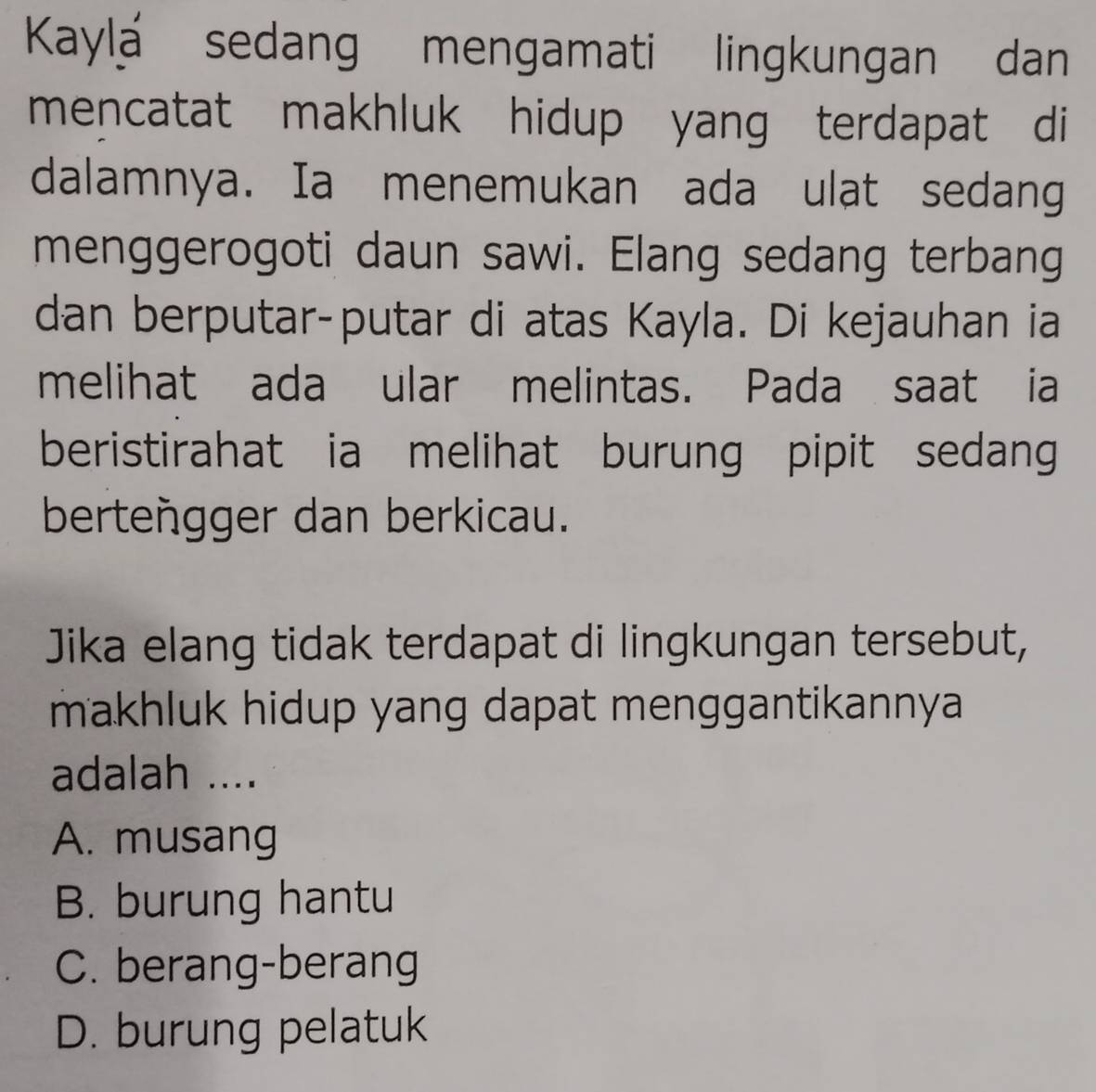 Kaylá sedang mengamati lingkungan dan
mencatat makhluk hidup yang terdapat di
dalamnya. Ia menemukan ada ulat sedang
menggerogoti daun sawi. Elang sedang terbang
dan berputar-putar di atas Kayla. Di kejauhan ia
melihat ada ular melintas. Pada saat ia
beristirahat ia melihat burung pipit sedang
berteñgger dan berkicau.
Jika elang tidak terdapat di lingkungan tersebut,
makhluk hidup yang dapat menggantikannya
adalah ....
A. musang
B. burung hantu
C. berang-berang
D. burung pelatuk