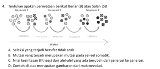 Tentukan apakah pernyataan berikut Benar (B) atau Salah (S)!
A. Seleksi yang terjadi bersifat tidak acak.
B. Mutasi yang terjadi merupakan mutasi pada sel-sel somatik.
C. Nilai kesintasan (fitness) dari alel-alel yang ada berubah dari generasi ke generasi.
D. Contoh di atas merupakan gambaran dari makroevolusi.