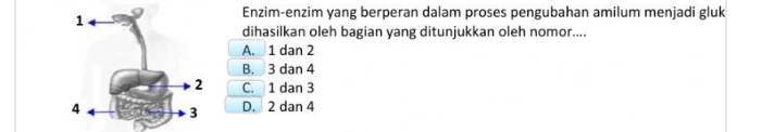 Enzim-enzim yang berperan dalam proses pengubahan amilum menjadi gluk
dihasilkan oleh bagian yang ditunjukkan oleh nomor....
A. 1 dan 2
B. 3 dan 4
C. 1 dan 3
D. 2 dan 4