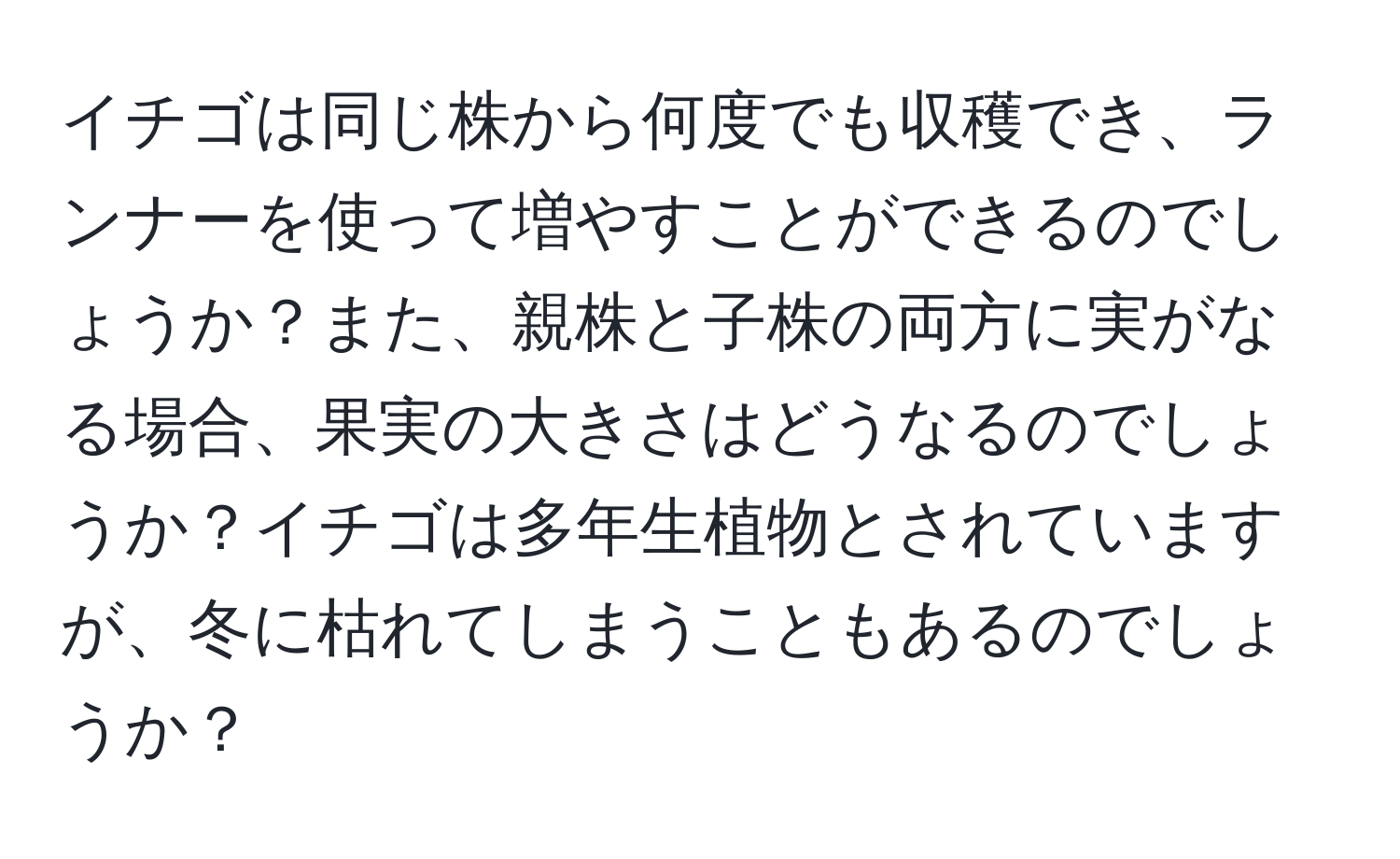 イチゴは同じ株から何度でも収穫でき、ランナーを使って増やすことができるのでしょうか？また、親株と子株の両方に実がなる場合、果実の大きさはどうなるのでしょうか？イチゴは多年生植物とされていますが、冬に枯れてしまうこともあるのでしょうか？