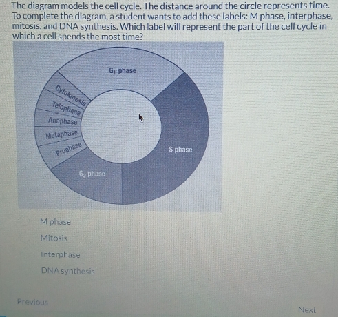 The diagram models the cell cycle. The distance around the circle represents time.
To complete the diagram, a student wants to add these labels: M phase, interphase,
mitosis, and DNA synthesis. Which label will represent the part of the cell cycle in
which a cell spends the most time?
G_1 phase
Cytokinesi
Telophase
Anaphase
Metaphase
Prophase
S phase
G₂ phase
M phase
Mitosis
Interphase
DNA synthesis
Previous
Next