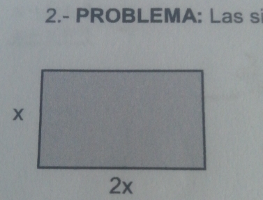 2.- PROBLEMA: Las s