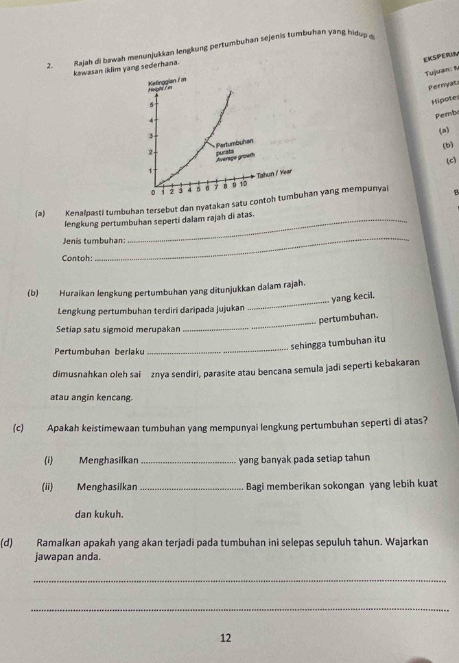 Rajah di bawah menunjukkan lengkung pertumbuhan sejenis tumbuhan yang hidup 
EKSPERIM 
kawasan iklim yang sederhana. 
Tujuan: N 
Pernyat 
Hipotes 
Pembo 
(a) 
(b) 
(c) 
(a) Kenalpasti tumbuhan tersebut dan nyatakan satu contoan yang mempunyai B 
lengkung pertumbuhan seperti dalam rajah di atas. 
Jenis tumbuhan: 
Contoh: 
_ 
(b) Huraikan lengkung pertumbuhan yang ditunjukkan dalam rajah. 
_yang kecil. 
Lengkung pertumbuhan terdiri daripada jujukan 
pertumbuhan. 
Setiap satu sigmoid merupakan 
_ 
Pertumbuhan berlaku 
_ 
sehingga tumbuhan itu 
dimusnahkan oleh sai znya sendiri, parasite atau bencana semula jadi seperti kebakaran 
atau angin kencang. 
(c) Apakah keistimewaan tumbuhan yang mempunyai lengkung pertumbuhan seperti di atas? 
(i) Menghasilkan _yang banyak pada setiap tahun 
(ii) Menghasilkan _Bagi memberikan sokongan yang lebih kuat 
dan kukuh. 
(d) Ramalkan apakah yang akan terjadi pada tumbuhan ini selepas sepuluh tahun. Wajarkan 
jawapan anda. 
_ 
_ 
12