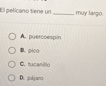 El pelícano tiene un _muy largo.
A. puercoespín
B. pico
C. tucanillo
D. pájaro