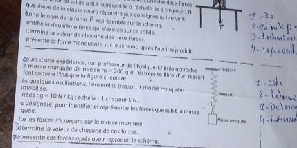 Sut tl solide a été représentée à l'écheile de 1 cm pour 1 N. , L Una des deux forces 
que élève de la classe devra répondre aux consignes qui sulvent. 
onne le nom de la force 1 représentée sur le schéma. 
entifie la deuxième force qui s'exerce sur çe solide. 
:termine la valeur de chacune des deux forces. 
présente la force manquante sur le schéma après l'avair reprodult. 
cours d'une expérience, ton professeur de Physique-Chimle accroche g à l'extrémité libre d'un ressort_ er Süpport_ 
_ 
2 masse marquée de masse m=200
ical comme l'indique la figure ci-contre. 
ès quelques oscillations, l'ensemble (ressort + masse marquée) Hamort 
imobilise. 
inées : g=10N/kg : échelle : 1 cm pour 1 N. 
quée. 
s désigné(e) pour identifier et représenter les forces que subit la masse Maise monqués 
ite les forces s'exerçant sur la masse marquée. 
étermine la vaïeur de chacune de ces forces ^ 
eprésente ces forces après avoir reproduit le schéma,