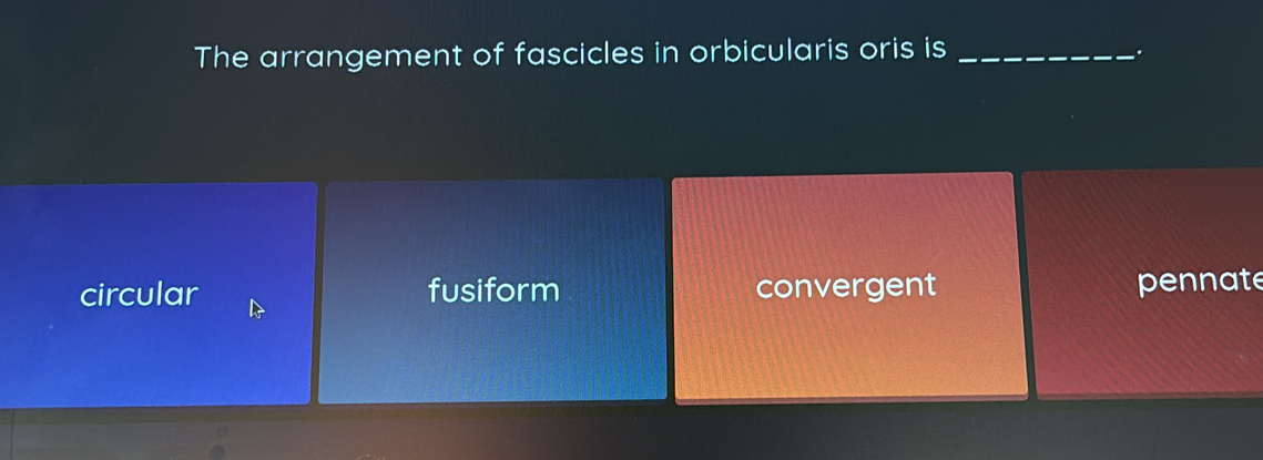 The arrangement of fascicles in orbicularis oris is _.
circular fusiform convergent pennate