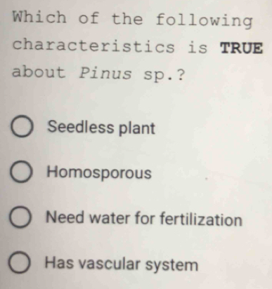 Which of the following
characteristics is TRUE
about Pinus sp.?
Seedless plant
Homosporous
Need water for fertilization
Has vascular system