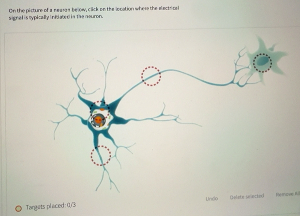Solved: On the picture of a neuron below, click on the location where ...