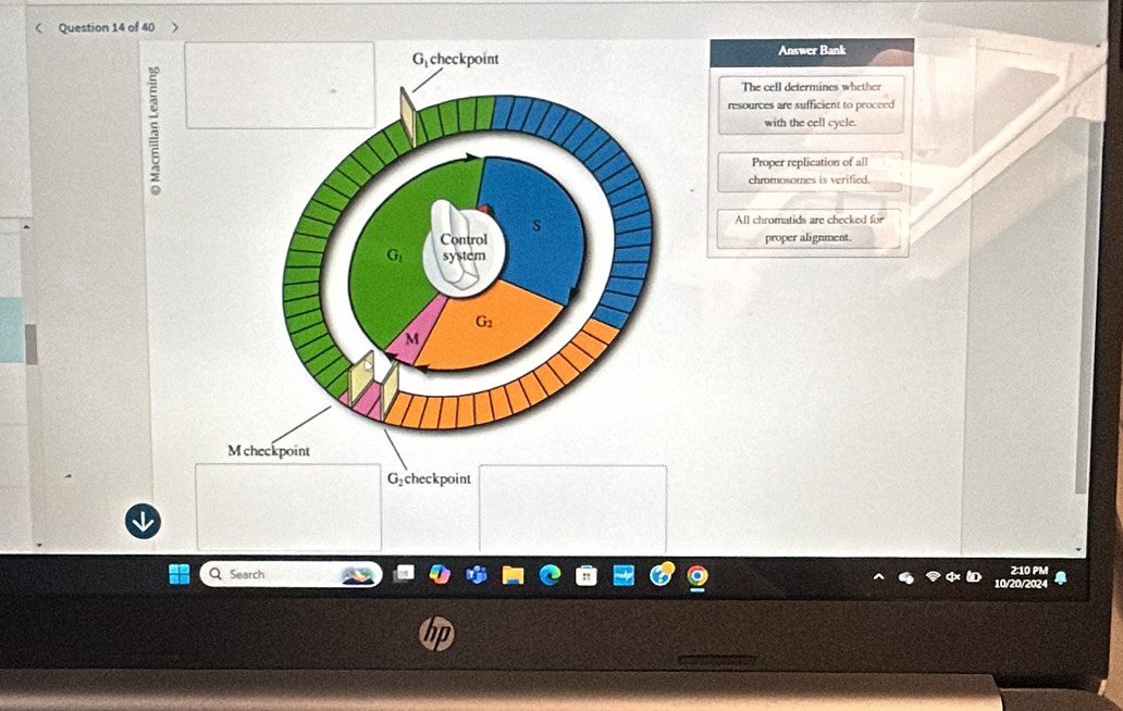 ( Question 14 of 40 
Answer Bank
The cell determines whether
resources are sufficient to proceed
with the cell cycle.
Proper replication of all
chromosomes is verified.
All chromatids are checked for
proper alignment.
G_2 checkpoint
2:10 PM
Search 10/20/2024
