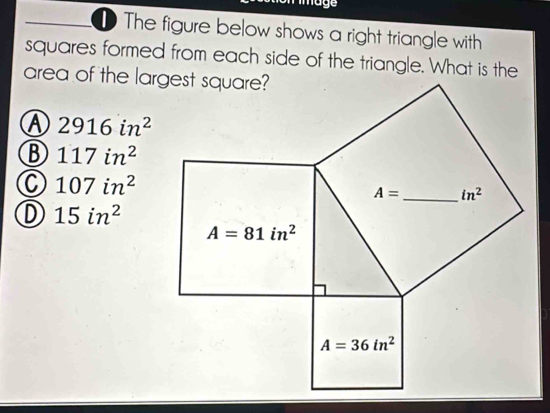 mage
D The figure below shows a right triangle with
squares formed from each side of the triangle. What is the
area of the largest square?
A 2916in^2
B 117in^2
C 107in^2
D 15in^2