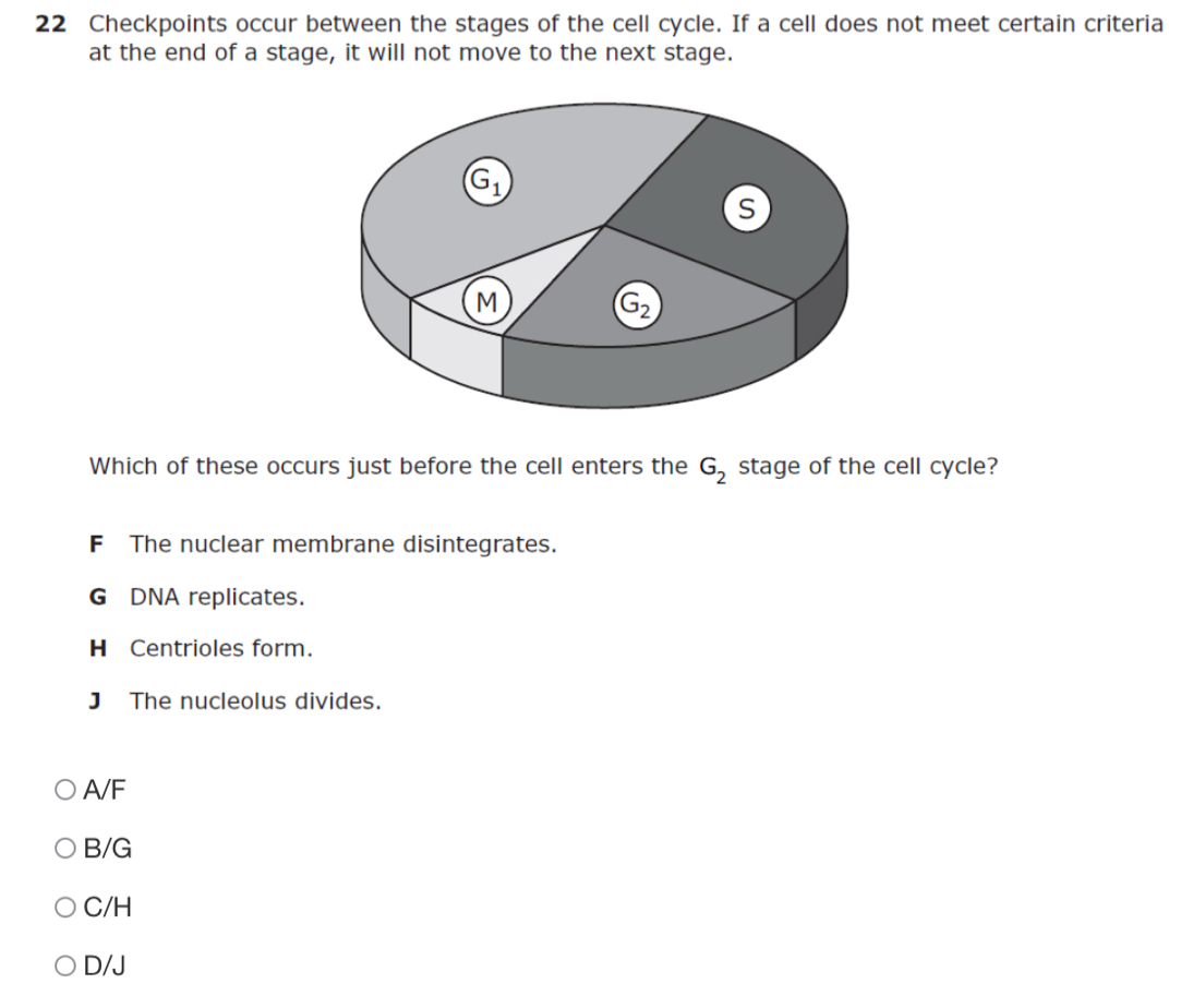 Checkpoints occur between the stages of the cell cycle. If a cell does not meet certain criteria
at the end of a stage, it will not move to the next stage.
G_1
s
M
G_2
Which of these occurs just before the cell enters the G_2 stage of the cell cycle?
F The nuclear membrane disintegrates.
G DNA replicates.
H Centrioles form.
J The nucleolus divides.
A/ F
B/G
C/H
D/J