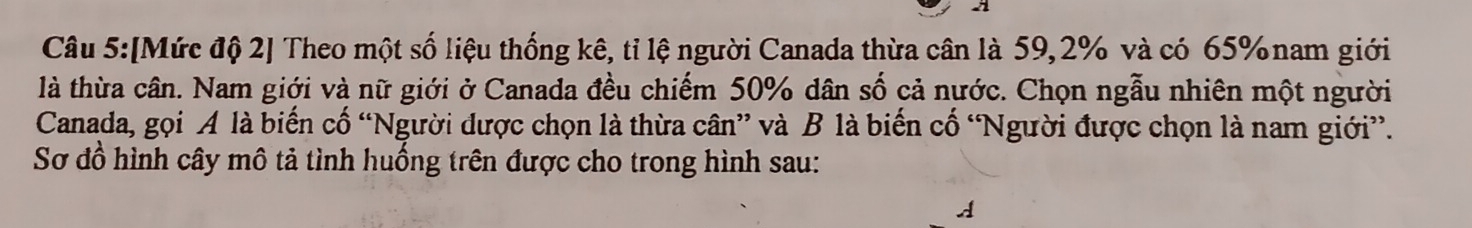 [Mức độ 2] Theo một số liệu thống kê, tỉ lệ người Canada thừa cân là 59, 2% và có 65% nam giới 
là thừa cân. Nam giới và nữ giới ở Canada đều chiếm 50% dân số cả nước. Chọn ngẫu nhiên một người 
Canada, gọi A là biến cố “Người được chọn là thừa cân” và B là biển cố “Người được chọn là nam giới”. 
Sơ đồ hình cây mô tả tình huống trên được cho trong hình sau: 
A