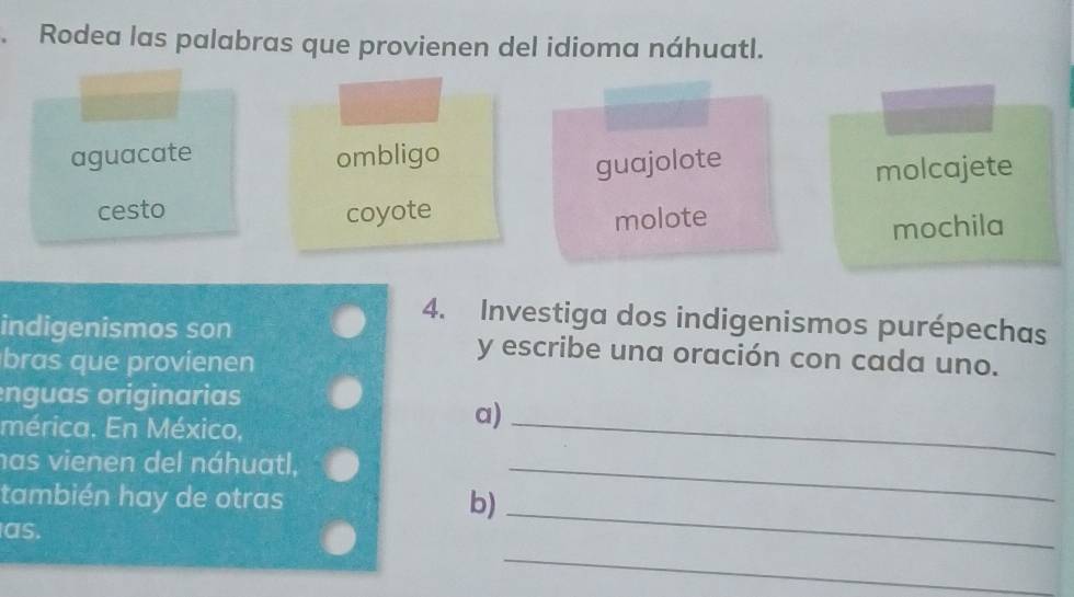 Rodea las palabras que provienen del idioma náhuatl.
aguacate ombligo
guajolote
molcajete
cesto coyote
molote
mochila
4. Investiga dos indigenismos purépechas
indigenismos son y escribe una oración con cada uno.
bras que provienen
enguas originarias
mérica. En México,
a)_
has vienen del náhuatl,_
también hay de otras b)_
as.
_