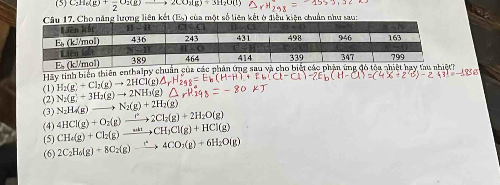 (5) C_2H_6(g)+frac 2O_2(g)xrightarrow 2CO_2(g)+3H_2O(l)
năng lượng liên kết (E_b) của một số liên kết ở điều kiện chuẩn như sau:
Hãy tính biến thiên enthalpy chuẩn của các phản
(1) H_2(g)+Cl_2(g)to 2HCl(g)
(2) N_2(g)+3H_2(g)to 2NH_3(g)
(3) N_2H_4(g)to N_2(g)+2H_2(g)
(4) 4HCl(g)+O_2(g)xrightarrow t°2Cl_2(g)+2H_2O(g)
(5) CH_4(g)+Cl_2(g)xrightarrow asktCH_3Cl(g)+HCl(g)
(6) 2C_2H_6(g)+8O_2(g)xrightarrow t°4CO_2(g)+6H_2O(g)