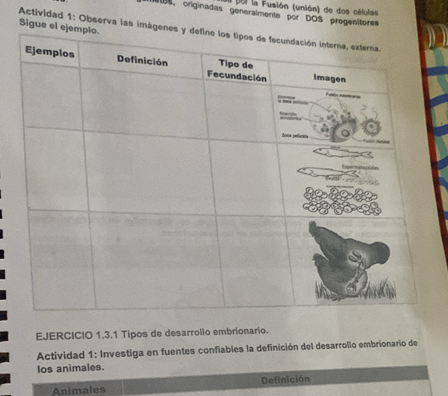 a por la Fusión (unión) de dos células 
etes, originadas generalmente por DOS progenítores 
Sigue 
Actividad 1: Observa las imá 
EJERCICIO 1.3.1 Tipos de desarrollo embrionario. 
Actividad 1: Investiga en fuentes confiables la definición del desarrollo embrionario de 
los animales. 
Definición 
Animales