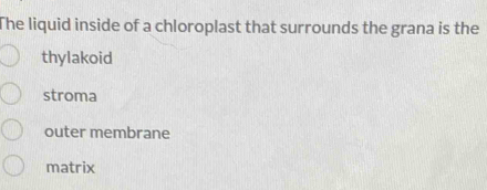 The liquid inside of a chloroplast that surrounds the grana is the
thylakoid
stroma
outer membrane
matrix