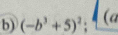 (-b^3+5)^2; (a