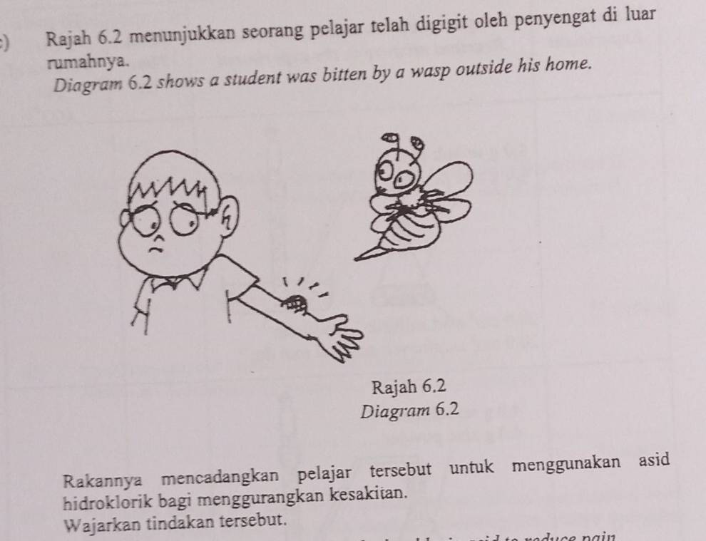 Rajah 6.2 menunjukkan seorang pelajar telah digigit oleh penyengat di luar 
rumahnya. 
Diagram 6.2 shows a student was bitten by a wasp outside his home. 
Diagram 6.2 
Rakannya mencadangkan pelajar tersebut untuk menggunakan asid 
hidroklorik bagi menggurangkan kesakitan. 
Wajarkan tindakan tersebut.