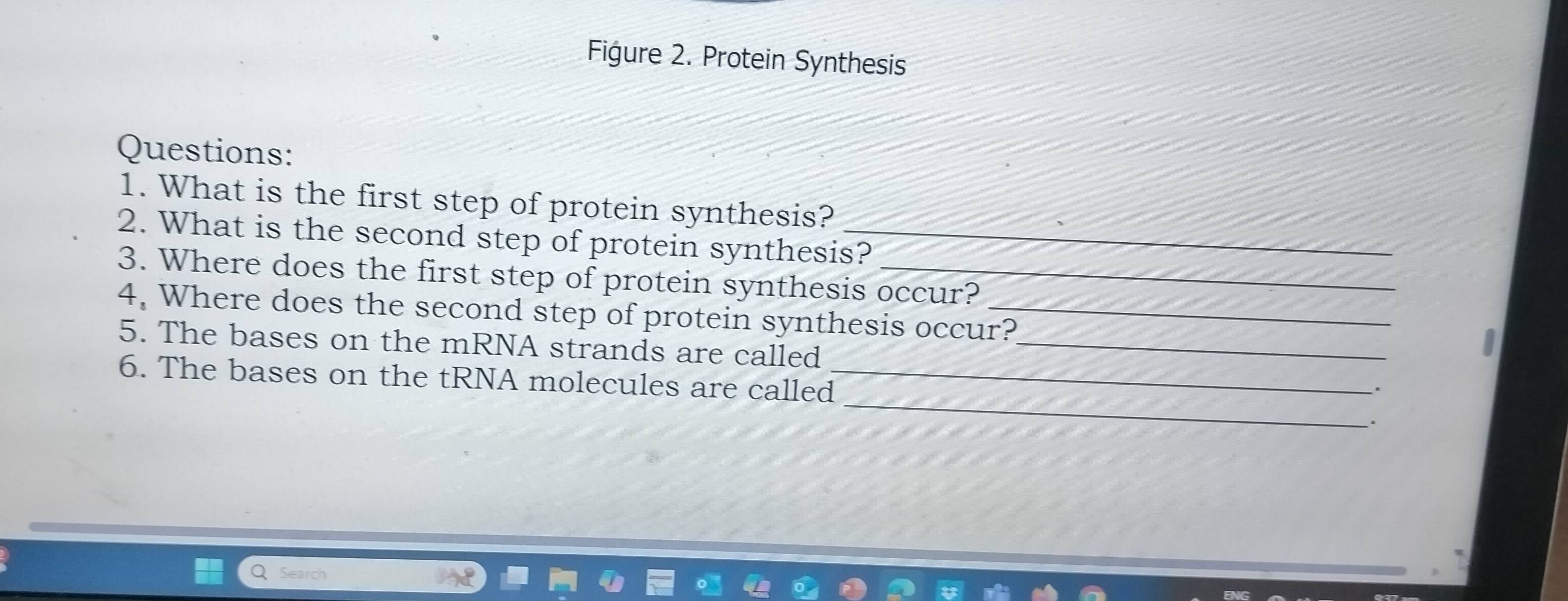 Figure 2. Protein Synthesis 
Questions: 
1. What is the first step of protein synthesis? 
2. What is the second step of protein synthesis? 
3. Where does the first step of protein synthesis occur? 
4, Where does the second step of protein synthesis occur? 
5. The bases on the mRNA strands are called_ 
_ 
6. The bases on the tRNA molecules are called_ 
. 
.