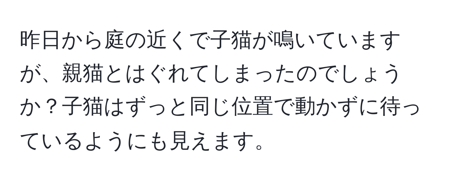 昨日から庭の近くで子猫が鳴いていますが、親猫とはぐれてしまったのでしょうか？子猫はずっと同じ位置で動かずに待っているようにも見えます。