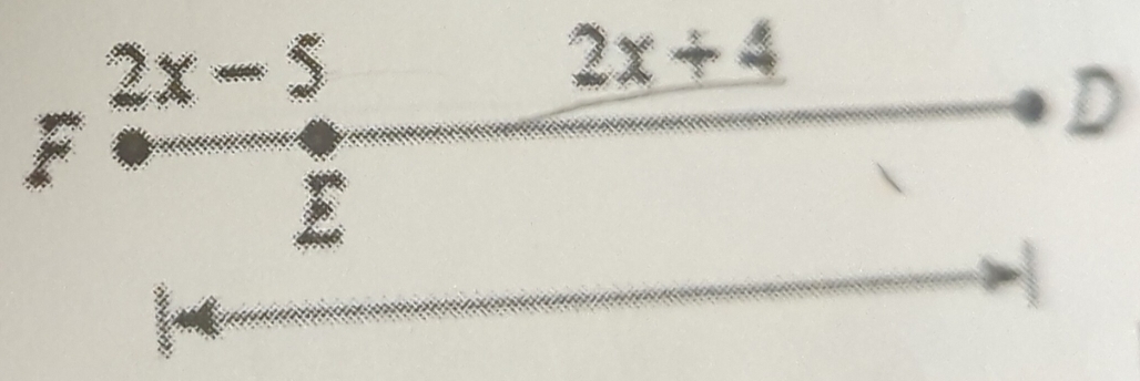 F·  (2x-5)/E ·
2x+4
D