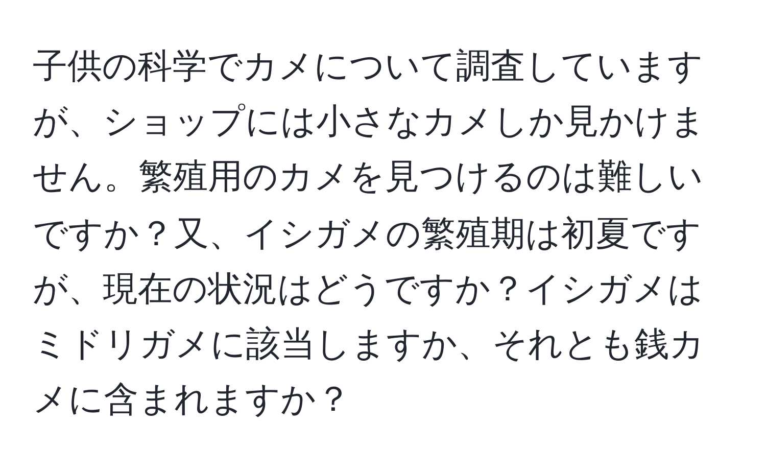 子供の科学でカメについて調査していますが、ショップには小さなカメしか見かけません。繁殖用のカメを見つけるのは難しいですか？又、イシガメの繁殖期は初夏ですが、現在の状況はどうですか？イシガメはミドリガメに該当しますか、それとも銭カメに含まれますか？