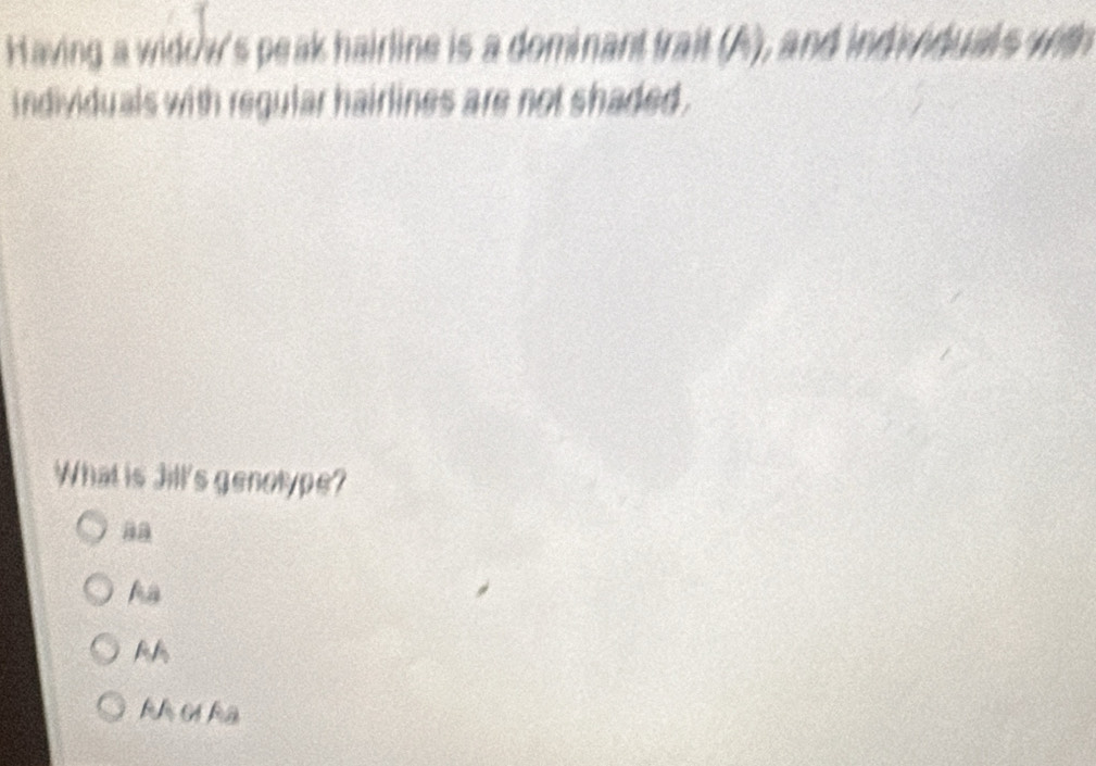 Having a wido w's peak hairline is a dominant trait (A), and ind ividuals with
individuals with regular hairlines are not shaded .
What is Jill's genotype?
aa
ha
AA
kh ờ ha