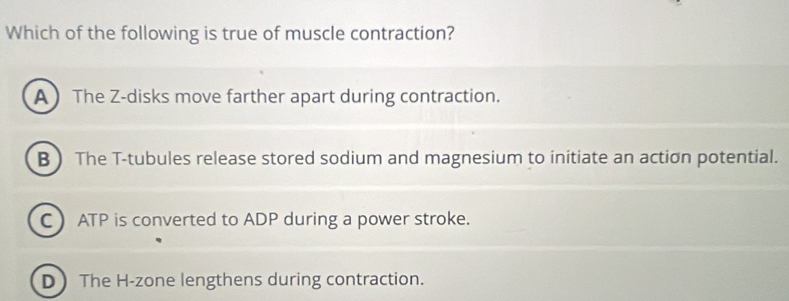 Which of the following is true of muscle contraction?
A The Z -disks move farther apart during contraction.
B ) The T-tubules release stored sodium and magnesium to initiate an action potential.
C ATP is converted to ADP during a power stroke.
D The H -zone lengthens during contraction.