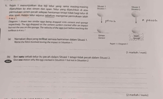 Rajah 1 menunjukkan dua biji telur yang sama masing-masing Situation 1 Situasi 1 Situation 2 Situasi 2 
dijatuhkan ke atas simen dan span. Telur yang dijatuhkan di atas 
permukaan simen pecah selepas hentaman tetapi tidak bagi telur di 
atas span. Halāju telur sejurus sebelum mengenai permukaan ialah
4ms^(-1)
Diagram 1 shows two similar eggs being dropped onto cement and sponge pecu h x pecoh 
respectively. The egg dropped on the cement surface cracked after an impact 
but not the one on the sponge. The velocity of the eggs just before reaching the 
surfaces is 4ms^(-1)
Simen Span 
(a) Namakan daya yang terlibat semasa hentaman dalam Situasi 1. Cement 
Name the force involved during the impact in Situation 1. Rajah 1 / Diogram 1 
_ 
__ 
[1 markah / mork] 
(b) Beri satu sebab telur itu pecah dalam Situasi 1 tetapi tidak pecah dalam Situasi 2. 
CBLA Give one reason why the egg cracked in Situation 1 but not in Situation 2. 
_ 
_ 
_ 
_ 
_ 
_ 
[2 markah / marks]