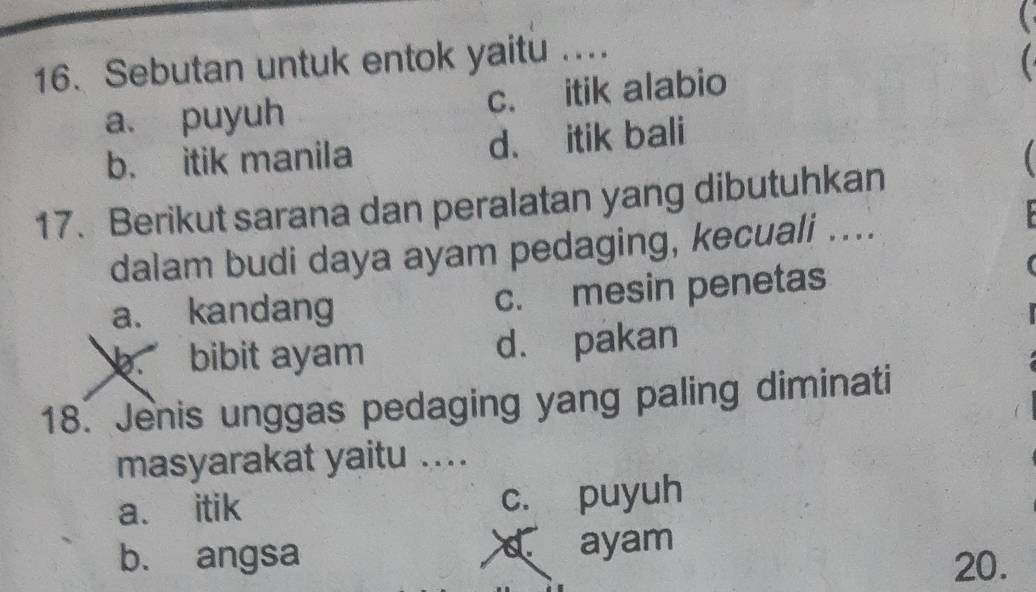 Sebutan untuk entok yaitu ....
a. puyuh c. itik alabio 
b. itik manila d. itik bali
(
17. Berikut sarana dan peralatan yang dibutuhkan

dalam budi daya ayam pedaging, kecuali ....
a. kandang c. mesin penetas

b. bibit ayam d. pakan
18. Jenis unggas pedaging yang paling diminati
masyarakat yaitu ....
a. itik c. puyuh
b. angsa d ayam
20.