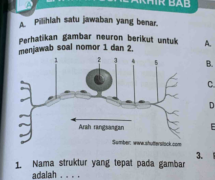 A 
AKHIR BAB 
A. Pilihlah satu jawaban yang benar. 
Perhatikan gambar neuron berikut untuk A. 
menjawab soal nomor 1 dan 2. 
B. 
C. 
D 
E 
3. 
1. Nama struktur yang tepat pada gambar 
adalah ._