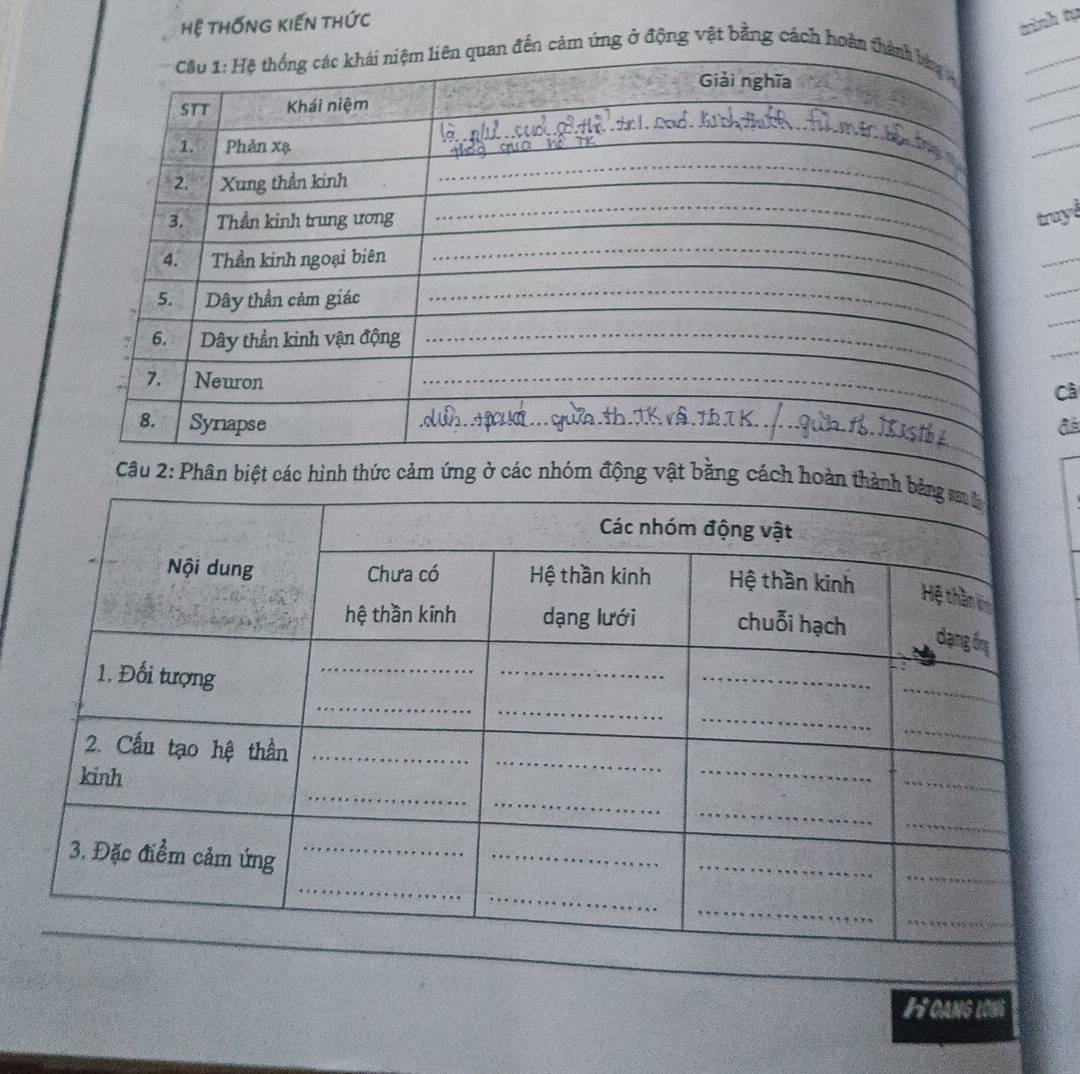 Hệ tHỐnG KiếN thức 
tành tạ 
n cảm ứng ở động vật bằng cách hoàn 
_ 
_ 
_ 
_ 
ruy 
_ 
_ 
_ 
_ 
Cà 
Câu 2: Phân biệt các hình thức cảm ứng ở các nhóm động vật bằng cách hoà 
H oang lonà