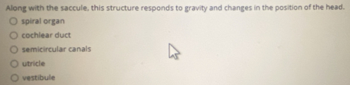 Along with the saccule, this structure responds to gravity and changes in the position of the head.
spiral organ
cochlear duct
semicircular canals
utricle
vestibule