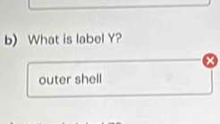 What is label Y? 
outer shell