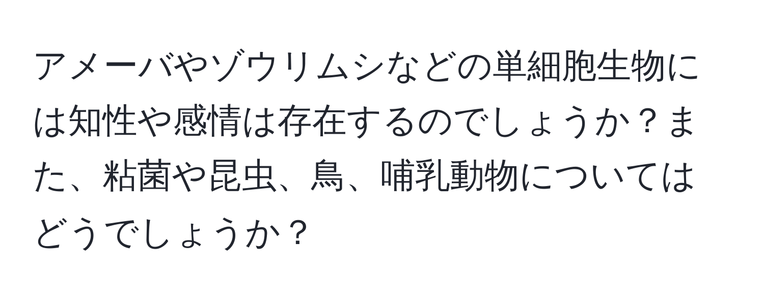 アメーバやゾウリムシなどの単細胞生物には知性や感情は存在するのでしょうか？また、粘菌や昆虫、鳥、哺乳動物についてはどうでしょうか？