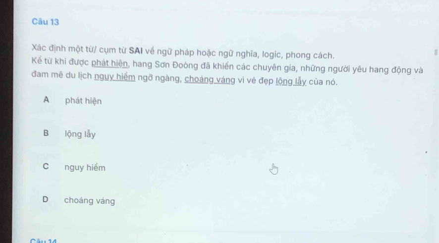 Xác định một từ/ cụm từ SAI về ngữ pháp hoặc ngữ nghĩa, logic, phong cách.
Kể từ khi được phát hiện, hang Sơn Đoòng đã khiến các chuyên gia, những người yêu hang động và
đam mẽ du lịch nguy hiểm ngỡ ngàng, choáng váng vì vẻ đẹp lộng lẫy của nó.
A phát hiện
B lộng lẫy
C nguy hiểm
D choáng váng