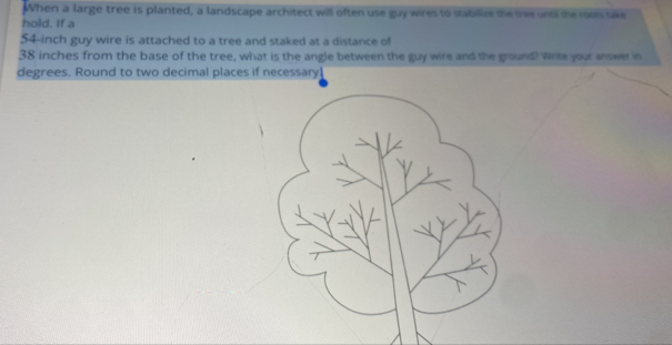 When a large tree is planted, a landscape architect will often use guy wires to stabillize the treeunsl the roots sake 
hold. If a
54-inch guy wire is attached to a tree and staked at a distance of
38 inches from the base of the tree, what is the angle between the guy wire and the ground? Write your answer in 
degrees. Round to two decimal places if necessary