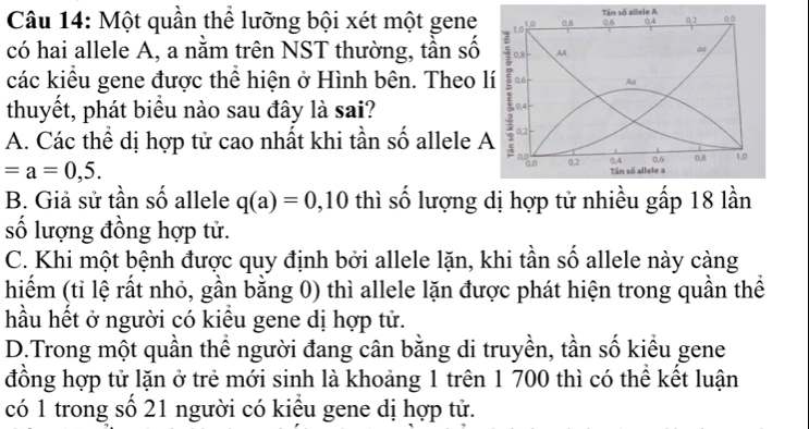 Một quần thể lưỡng bội xét một gene 1, 0 Tần số allele A 0.6 0, 4 0.2 00
1, 0 0.8
có hai allele A, a nằm trên NST thường, tần số AA
các kiểu gene được thể hiện ở Hình bên. Theo lí ; 0, 8 0.6 Aa
thuyết, phát biểu nào sau đây là sai?
, 0, 4
A. Các thể dị hợp tử cao nhất khi tần số allele A 0.2
0.6 0, 8 1, 0
=a=0,5.
0,2 0.4 Tần số allele a
B. Giả sử tần số allele q(a)=0,10 thì số lượng dị hợp tử nhiều gấp 18 lần
số lượng đồng hợp tử.
C. Khi một bệnh được quy định bởi allele lặn, khi tần số allele này càng
hiếm (tỉ lệ rất nhỏ, gần bằng 0) thì allele lặn được phát hiện trong quần thể
hầu hết ở người có kiều gene dị hợp tử.
D.Trong một quần thể người đang cân bằng di truyền, tần số kiểu gene
đồng hợp tử lặn ở trẻ mới sinh là khoảng 1 trên 1 700 thì có thể kết luận
có 1 trong số 21 người có kiểu gene dị hợp tử.