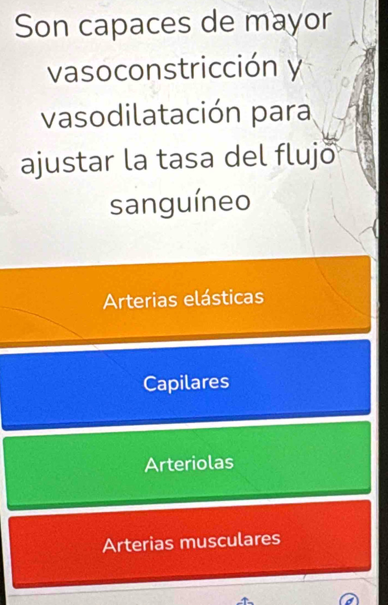 Son capaces de mayor
vasoconstricción y
vasodilatación para
ajustar la tasa del flujö
sanguíneo
Arterias elásticas
Capilares
Arteriolas
Arterias musculares