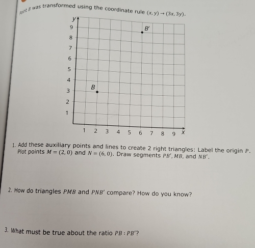 mint 8 was transformed using the coordinate rule
1. Add these auxiliary points and lines to create 2 right triangles: Label the origin P.
Plot points M=(2,0) and N=(6,0). Draw segments PB',MB , and NB'.
2. How do triangles PMB and PNB' compare? How do you know?
3. What must be true about the ratio PB:PB' ?