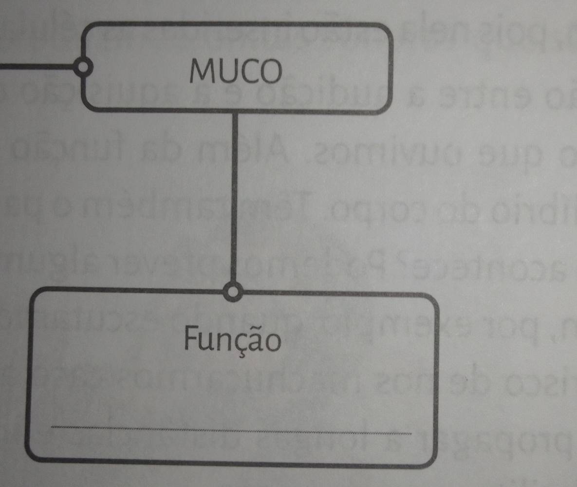 MUCO 
Função 
_