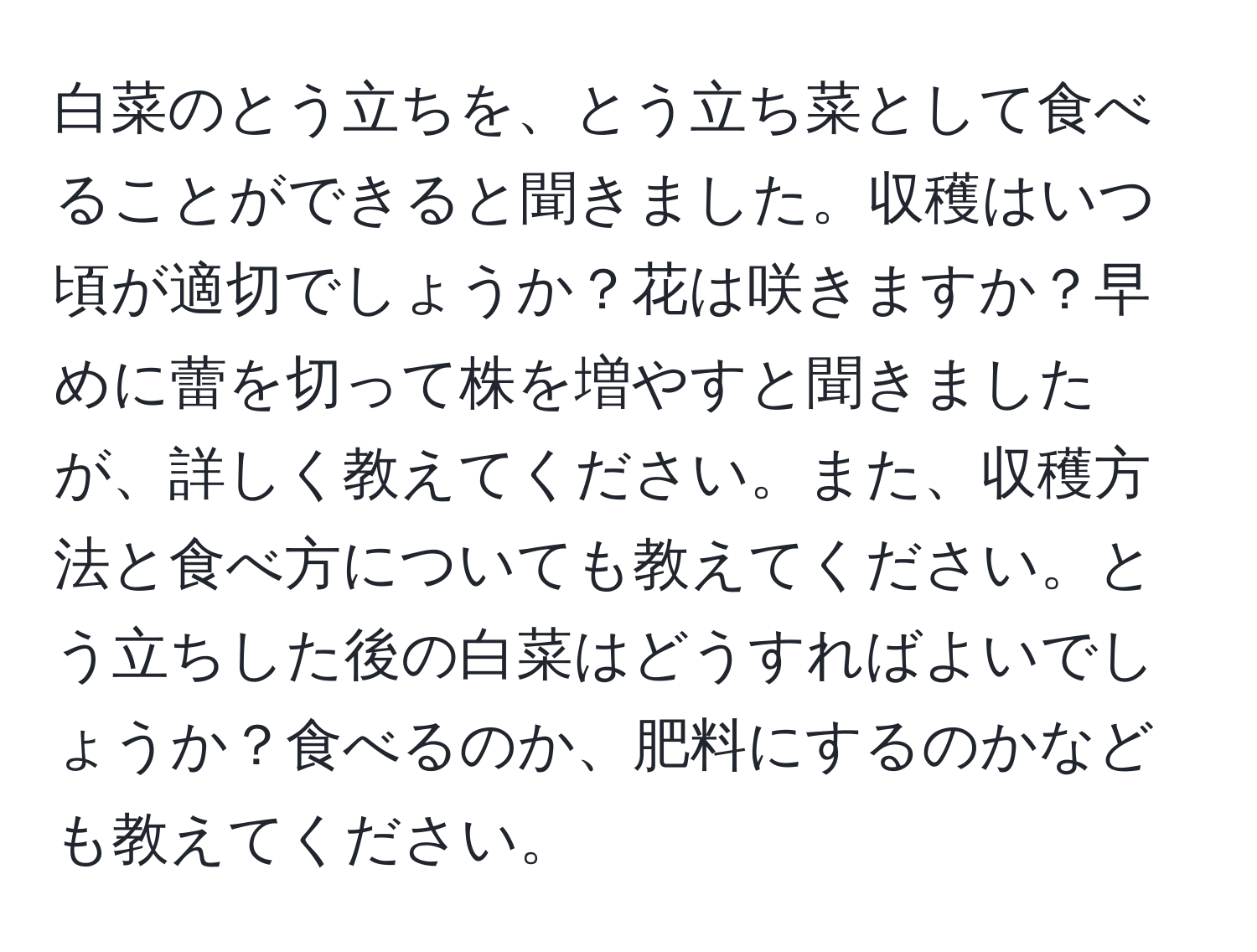 白菜のとう立ちを、とう立ち菜として食べることができると聞きました。収穫はいつ頃が適切でしょうか？花は咲きますか？早めに蕾を切って株を増やすと聞きましたが、詳しく教えてください。また、収穫方法と食べ方についても教えてください。とう立ちした後の白菜はどうすればよいでしょうか？食べるのか、肥料にするのかなども教えてください。