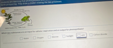 students are learning that pholing 
E arth prolpering. They draw a model relating the two processes,
which two subslances are an input for cellular respiration and an output for photosynchesis?
ATP
Wat ef Oxygen Clucose Sunlight Carbon dioxide