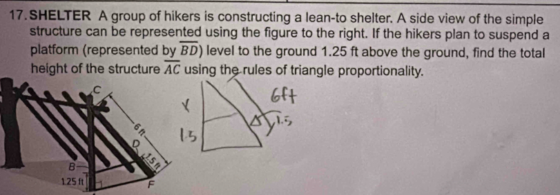 SHELTER A group of hikers is constructing a lean-to shelter. A side view of the simple 
structure can be represented using the figure to the right. If the hikers plan to suspend a 
platform (represented by overline BD) level to the ground 1.25 ft above the ground, find the total 
height of the structure overline AC