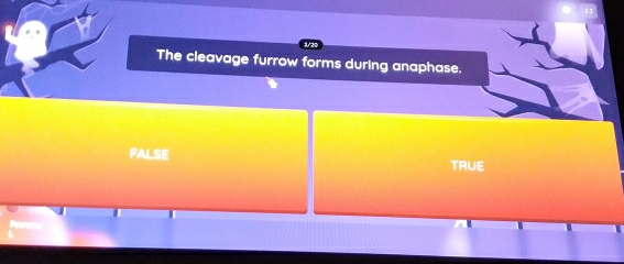 The cleavage furrow forms during anaphase.
FALSE
TRUE