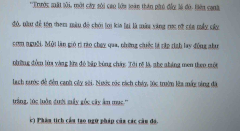 “Trước mặt tôi, một cây sỏi cao lớn toàn thân phủ đầy lá đỏ. Bên cạnh 
đó, như đề tôn them màu đỏ chói loi kia lại là màu vàng rực rỡ của mấy cây 
cơm nguôi. Một làn gió rì rào chay qua, những chiếc lá rập rình lay động như 
những đồm lửa vàng lửa đỏ bập bùng cháy. Tôi rẽ lá, nhẹ nhàng men theo một 
lạch nước đề đến canh cây sòi. Nước róc rách chảy, lúc trườn lên mấy tảng đá 
trắng, lúc luồn dưới mấy gốc cây ẩm mục.'' 
c) Phân tích cấu tạo ngữ pháp của các câu đó.