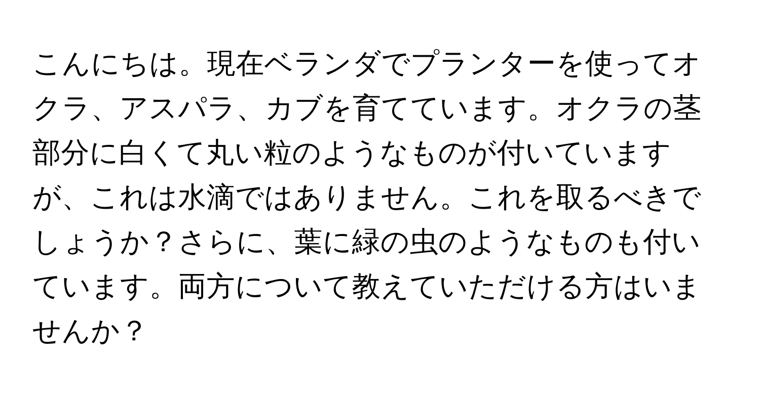 こんにちは。現在ベランダでプランターを使ってオクラ、アスパラ、カブを育てています。オクラの茎部分に白くて丸い粒のようなものが付いていますが、これは水滴ではありません。これを取るべきでしょうか？さらに、葉に緑の虫のようなものも付いています。両方について教えていただける方はいませんか？